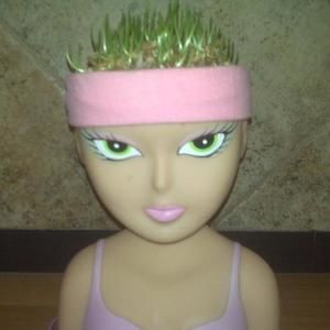 Meet your Posher, Desiree